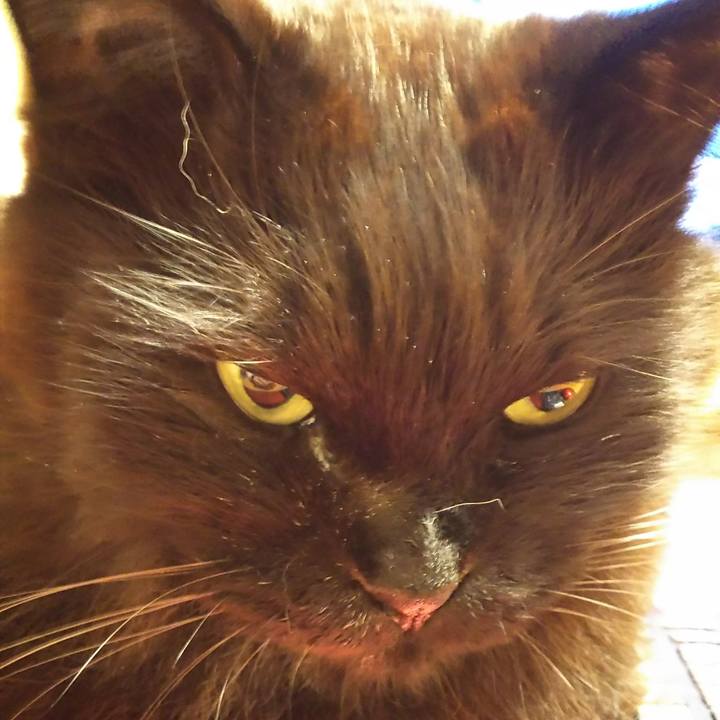 5c1526c2 bf7a 48b6 b8a0 57f240b014f2 1523362350137