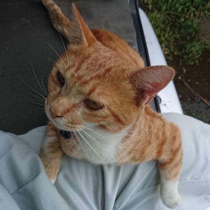 5c153d3b 24b5 4550 b611 3ebc52d01110 1567155962744