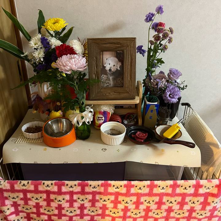 5c154ef3 506c 407d b1de a5b8ab28376e 1673952378497