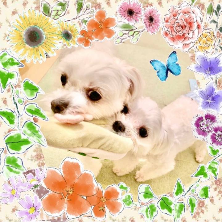 5c1571be b7c3 4d9c 881d 78806981e95e 1619927231878