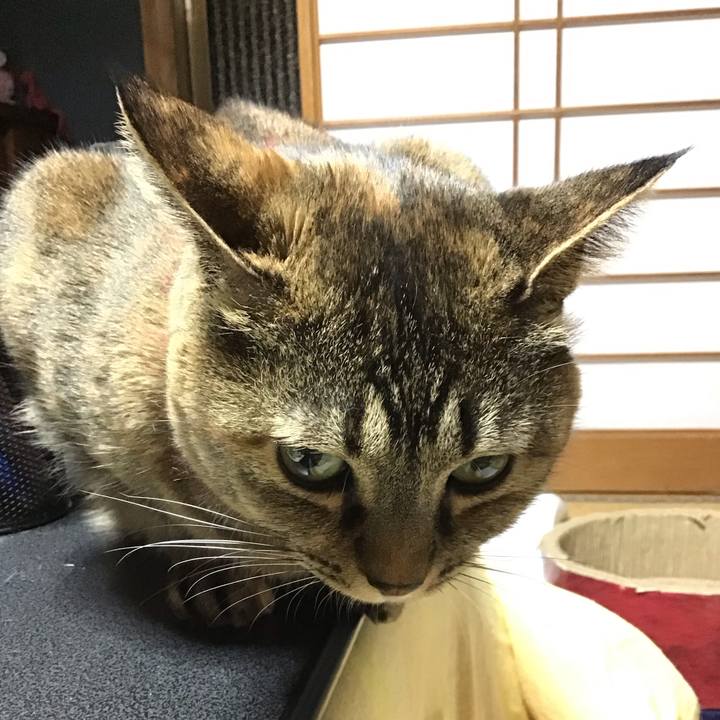 5c157301 6474 4997 963d 7ade72e81adc 1707041286988