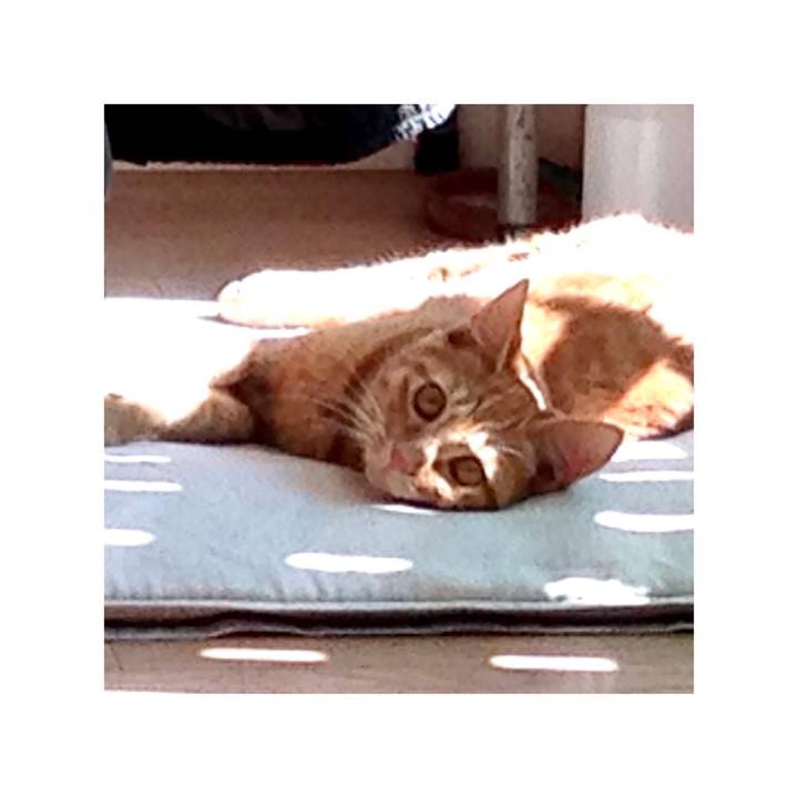 5c1579ab 3f23 4209 b7f9 be9d762f254f 1655722887282