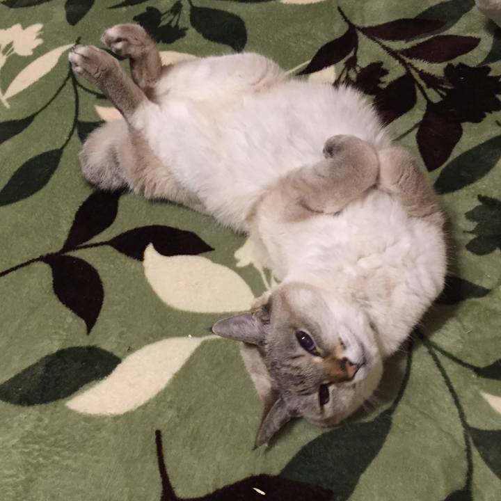 5c1579de f86b 455b bf5e 14b6180f9052 1581851876291