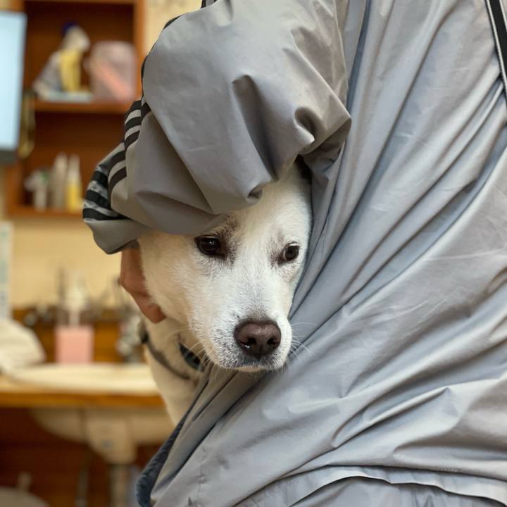 5c1588d2 ad70 4fe7 b738 5f8e818d5b55 1681527609683