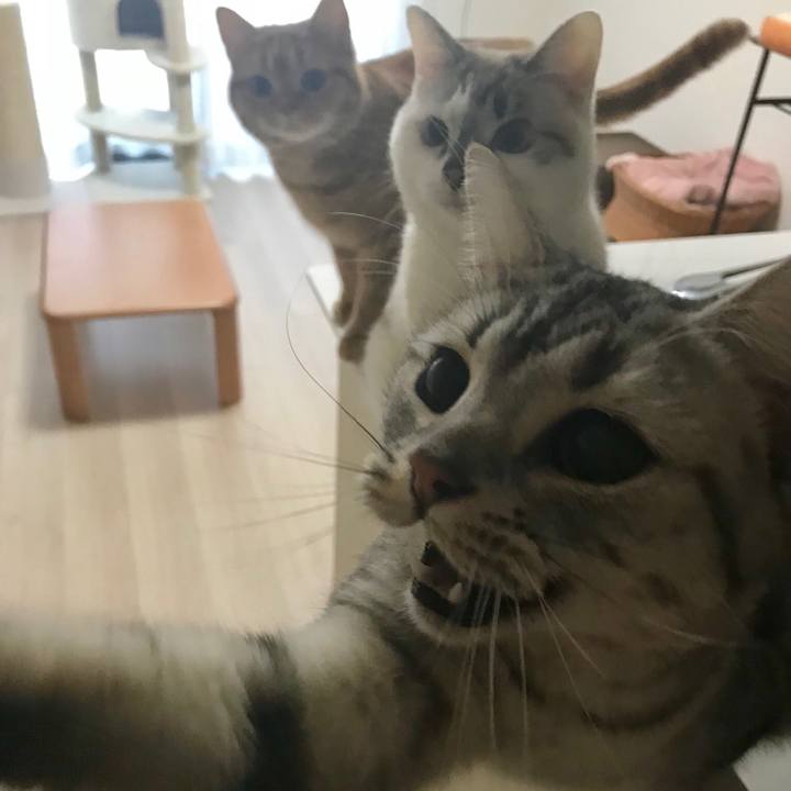 5c158a7f 1c7a 48ba 8a4b 0d7d67d45ed8 1515538076277