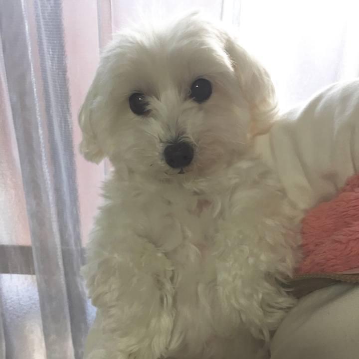 5c159e34 3ff4 4366 a380 a89127d22164 1512798674512