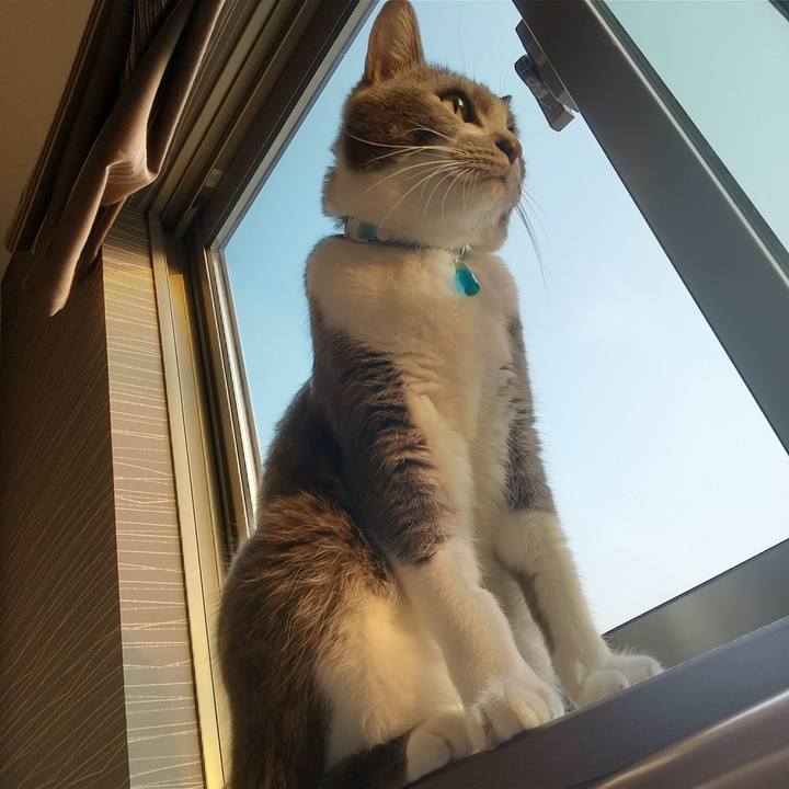 5c15a43b 154a 465d b418 4e2405cdd86c 1649731836365