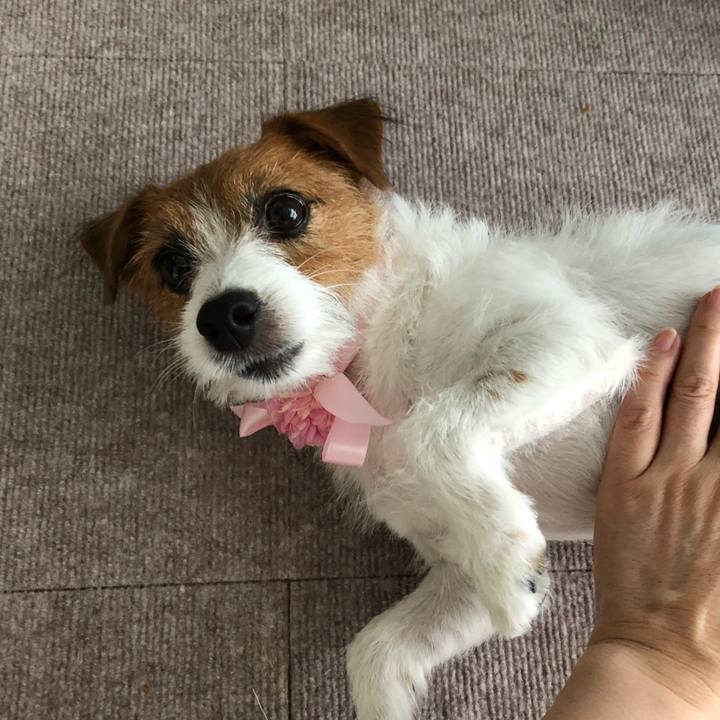 5c15aa90 afae 43d7 8e1e d325a0c9ca6f 1535866014518