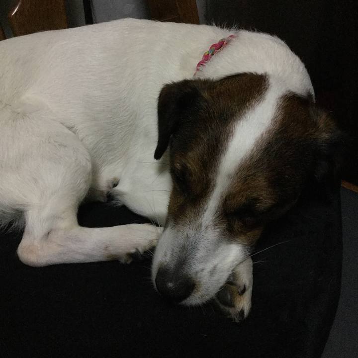 5c15d4a4 473c 472f 88d9 cabe224e034c 1524652968446