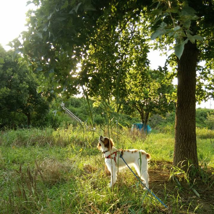 5c15f3de 164e 47b1 aabd 429b1aef6b87 1533902416677