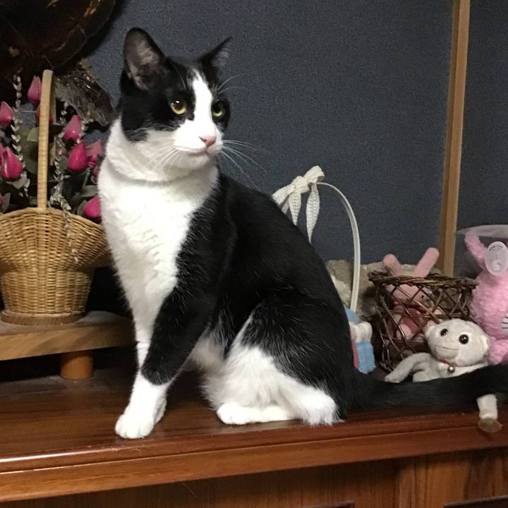 5c15fcdb 6019 4eff a5a8 98b656ede02b 1722856347979