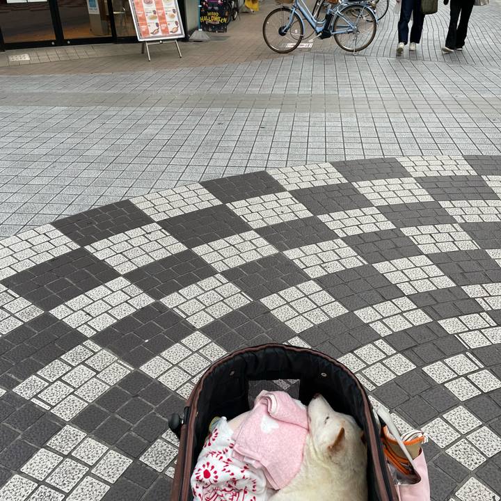 5c15fcea 3201 438a 842b 2e6269b7ca8b 1665460531041