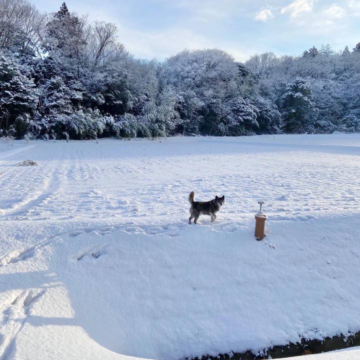 5c162d8c e5c4 4c64 ab84 1f3fc7be1369 1675069357977