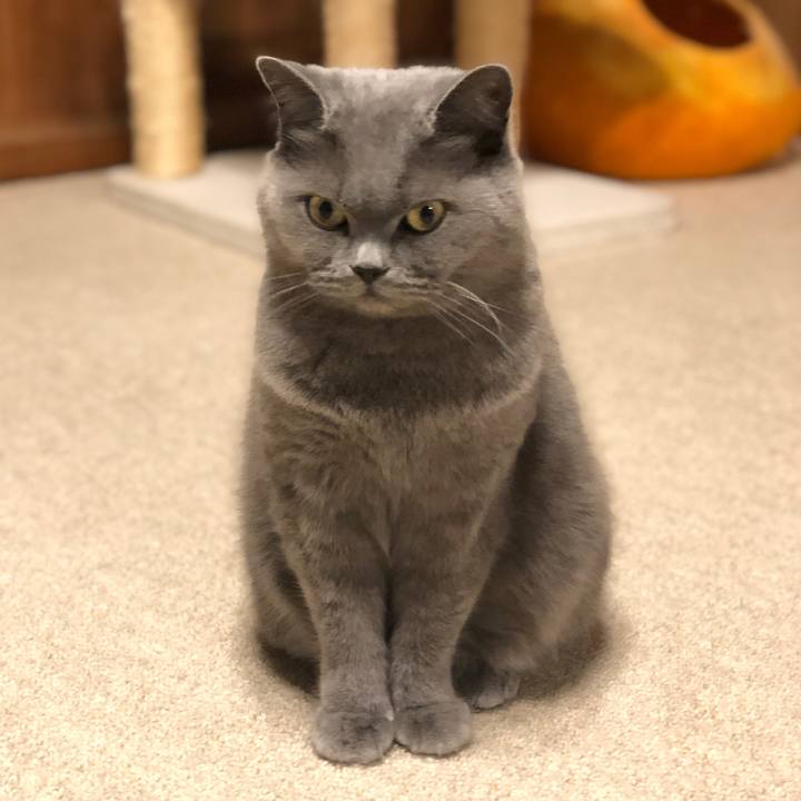 5c1647e8 92ed 4e6f b679 0d55ba22464b 1575707599237