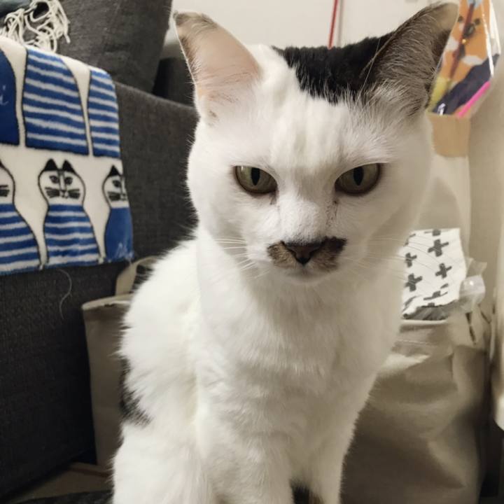 5c165f42 8eda 4b99 80f1 a23691d94f5f 1546831357953