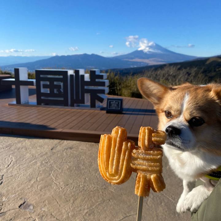 5c16acf4 6fad 4af7 bc23 11995c023696 1736813624173