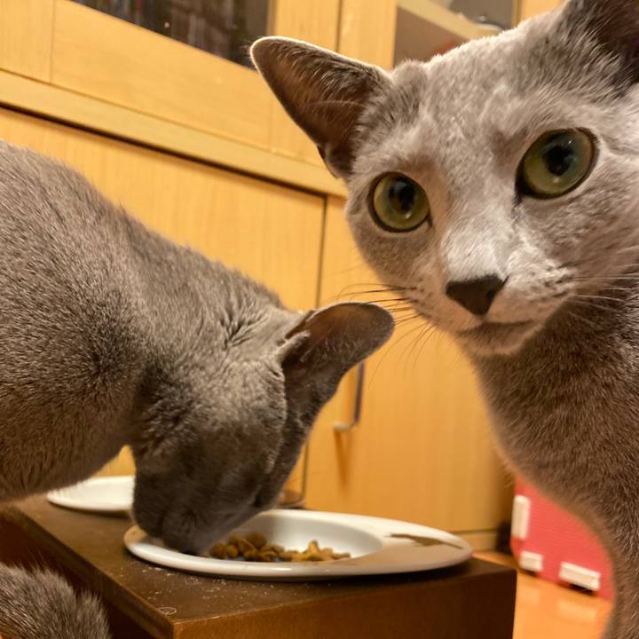 5c16b970 c329 4fd9 aab2 45966e45c451 1641947288772