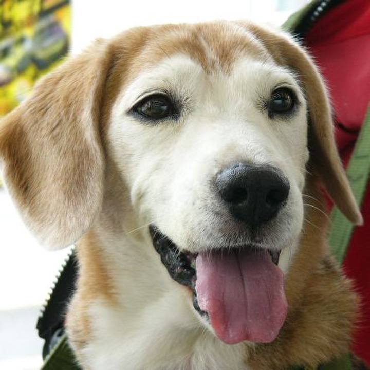 5c16bc8f f6fb 4108 8fbf 4e3a11853be9 1668473123760