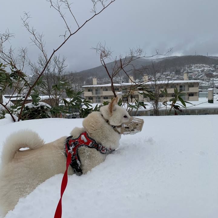 5c16cf3d 587f 4125 b2bb f1d4edc40467 1609636298360