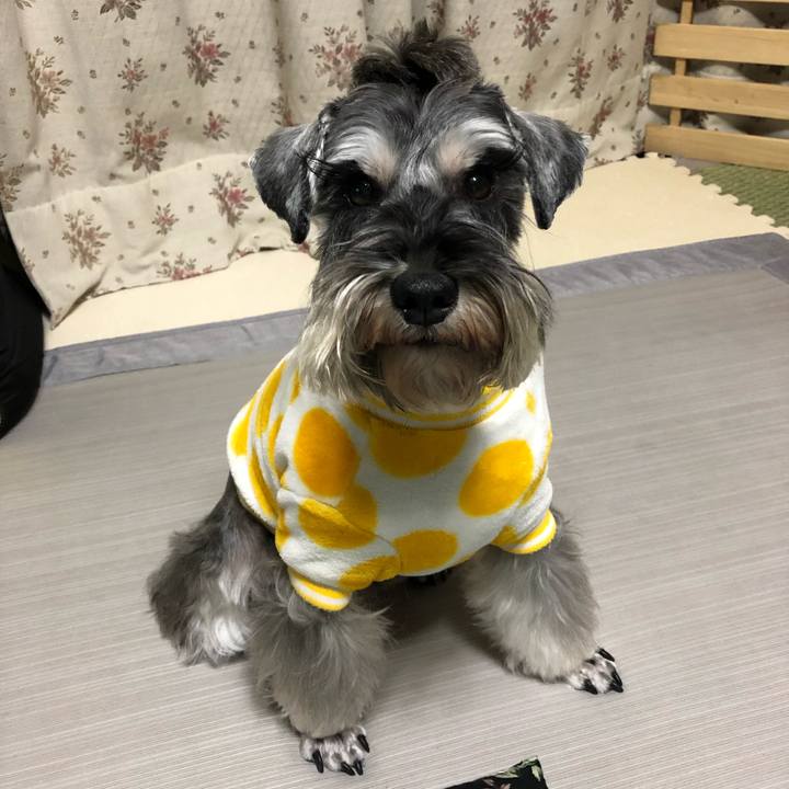 5c16de68 71b5 4a2f 9dc7 dff7d426bab9 1577105693960