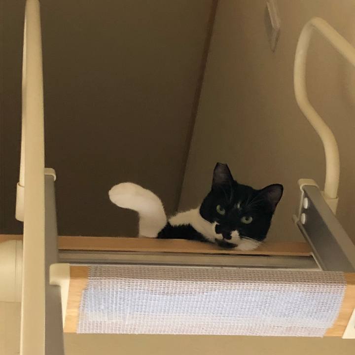 5c16e9f5 62bb 45a1 beb6 78e770868dbe 1537704984137