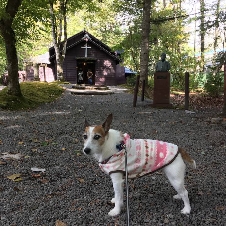 5c170b71 26ac 40fb a99d 516fa160606f 1635204493647