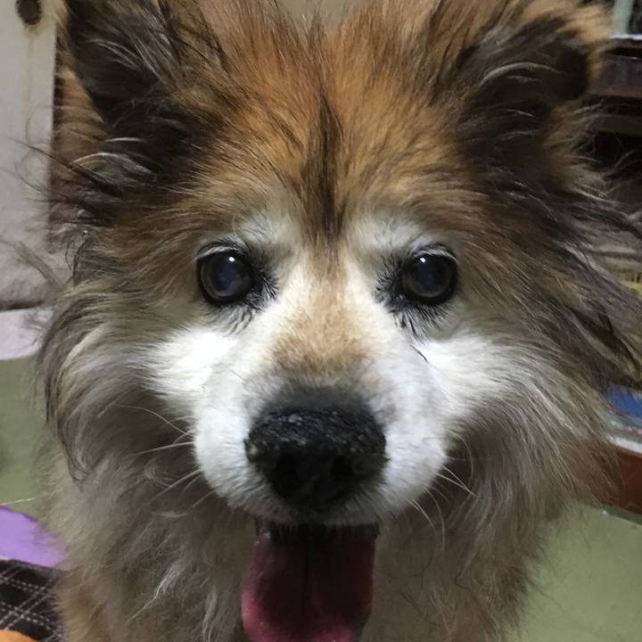 5c17235f 7f63 4793 b2bb 609f72e6b5a8 1556060784751