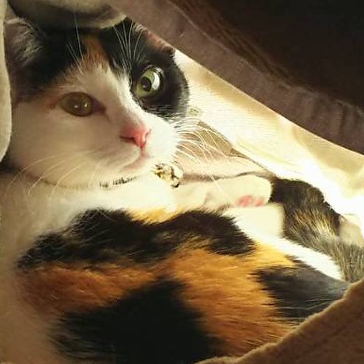 5c173f89 6d68 4157 882d 65c8f4b509ee 1524446306358