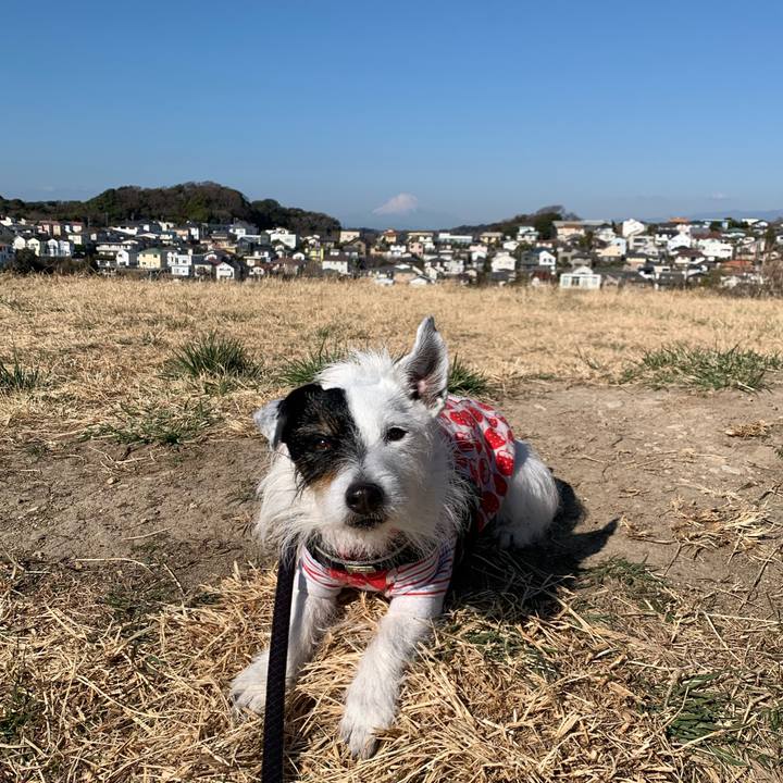 5c17658f c740 484c 8ce2 2e3b13bd5fd3 1740619572232