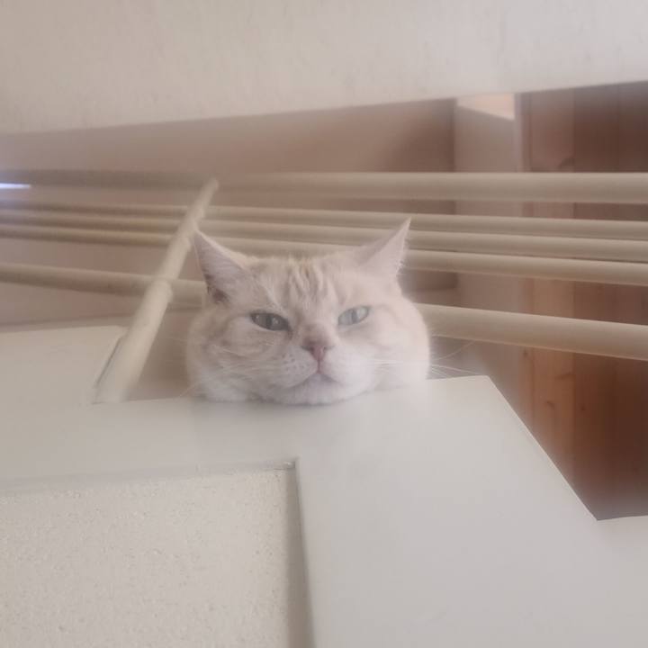 5c177dd0 f609 419d 822d 531f5ccbc449 1713403446083