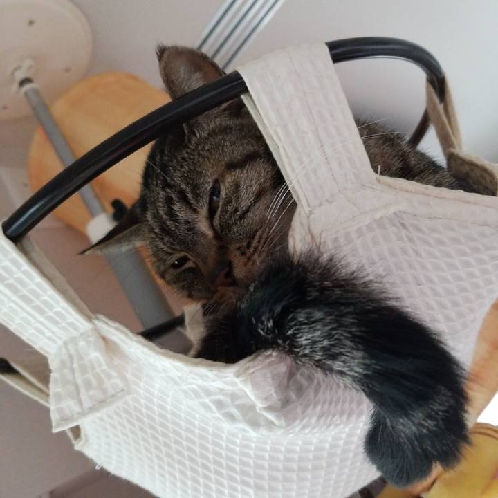 5c179a46 9866 4b3c a739 2013cf2134d1 1595635615918