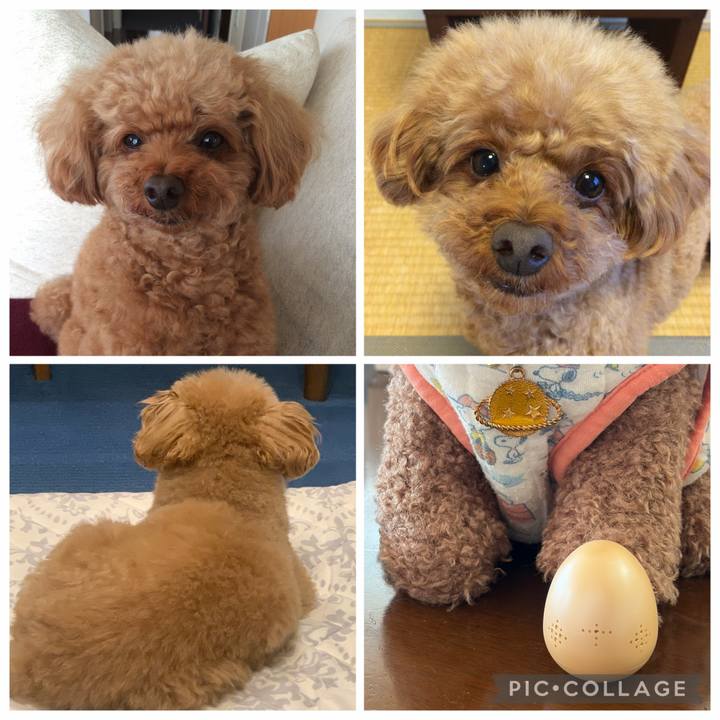 5c17a8d6 8a35 42c9 9576 67bab78fa125 1774232292407