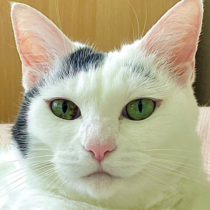 5c17d687 df3d 458a a57f 3273bf77fd13 1632454361072