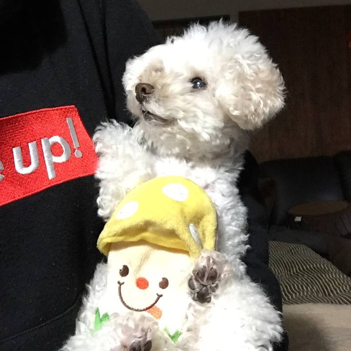 5c17e87f 4441 40e6 aca3 39427ac0a417 1511409995073