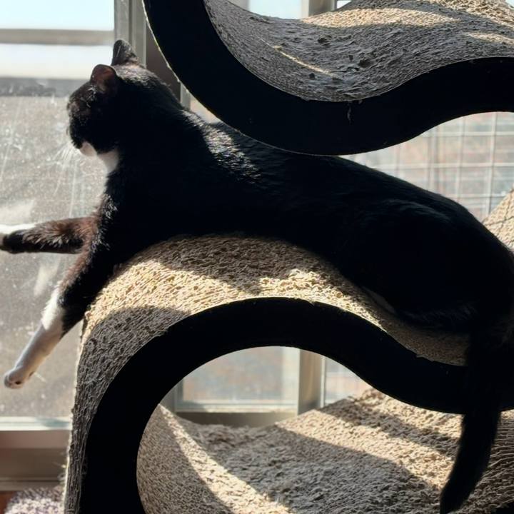 5c17ebfe 0a1d 40c2 99ad 0fa4fbf163d1 1760400955585