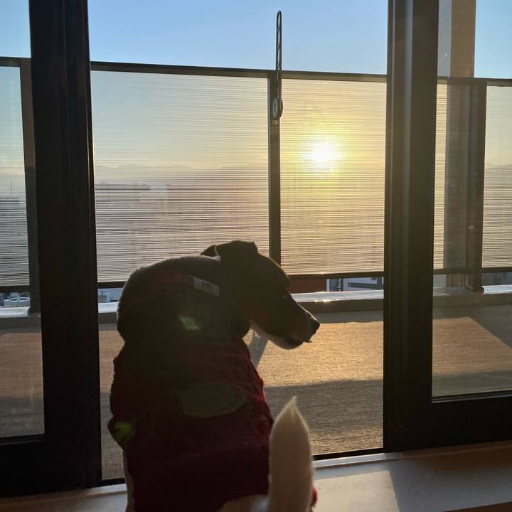 5c1801d3 ec8e 4065 b2fe 83a0b25c0c34 1642547788356