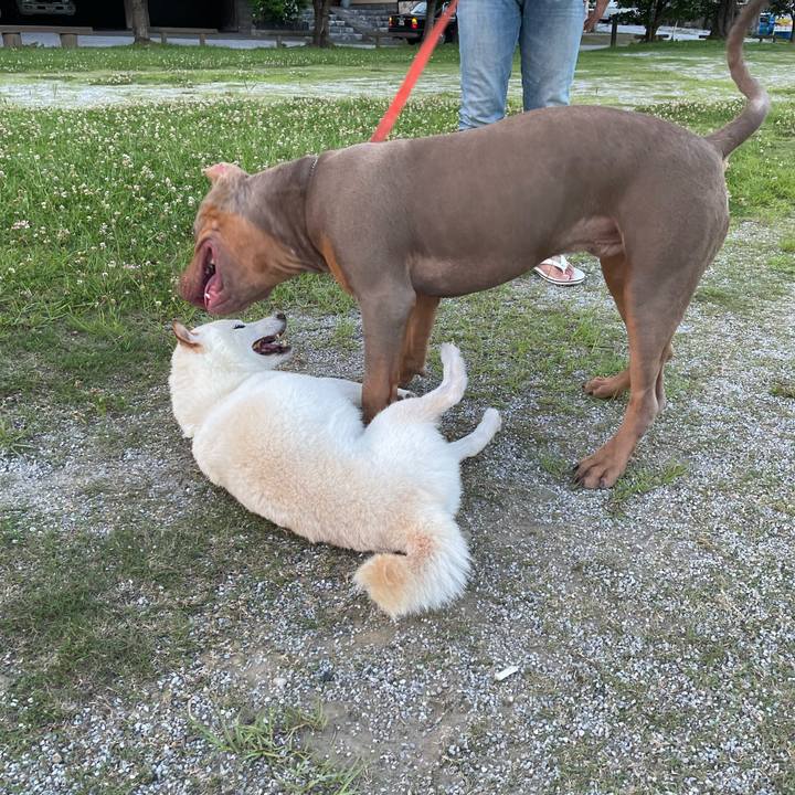 5c181863 9831 4b79 8faa c480e88daefc 1656594930542