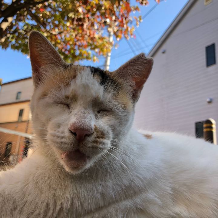 5c181a14 e232 4929 9810 13a06baa47c1 1604631617237