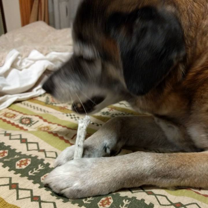 5c183395 597a 42e5 9a8e f3ffb606402d 1521113919396