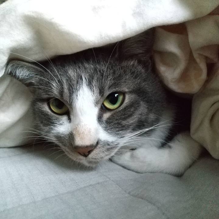 5c183777 5b11 4dc2 9735 aee8ff1230ff 1602207089432