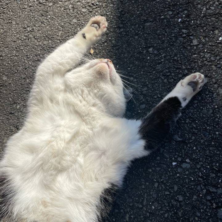 5c185cf3 fdf4 4e6c 98fd fa251e847af4 1670647979091