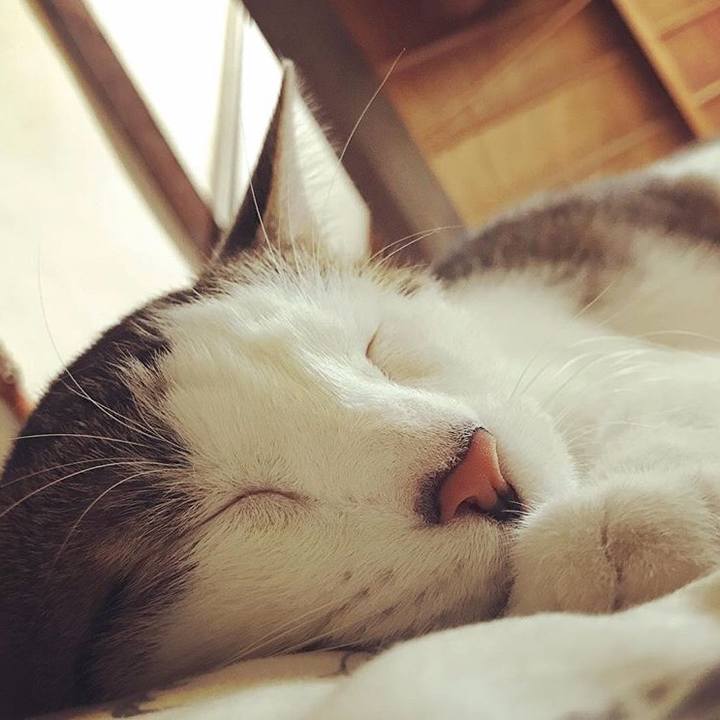 5c18883e 40e7 40cb 80c4 85ef4a2e8603 1513180309351