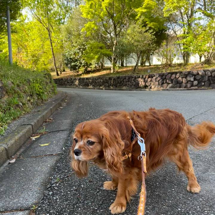 5c18c3af 56a2 4183 913d 78c55b5cd3e6 1681603591862