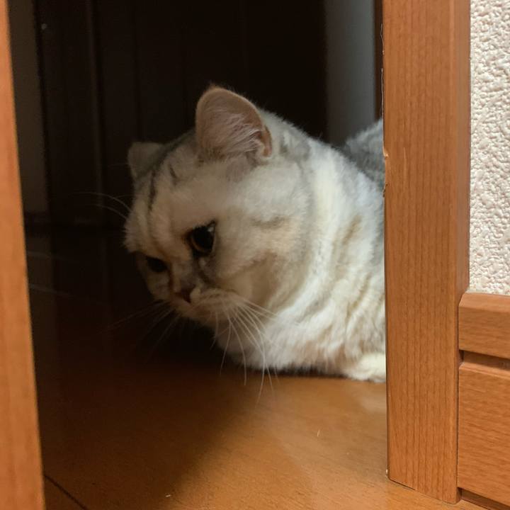 5c18c68c 4401 4539 9100 81d7dce030b2 1708695626514