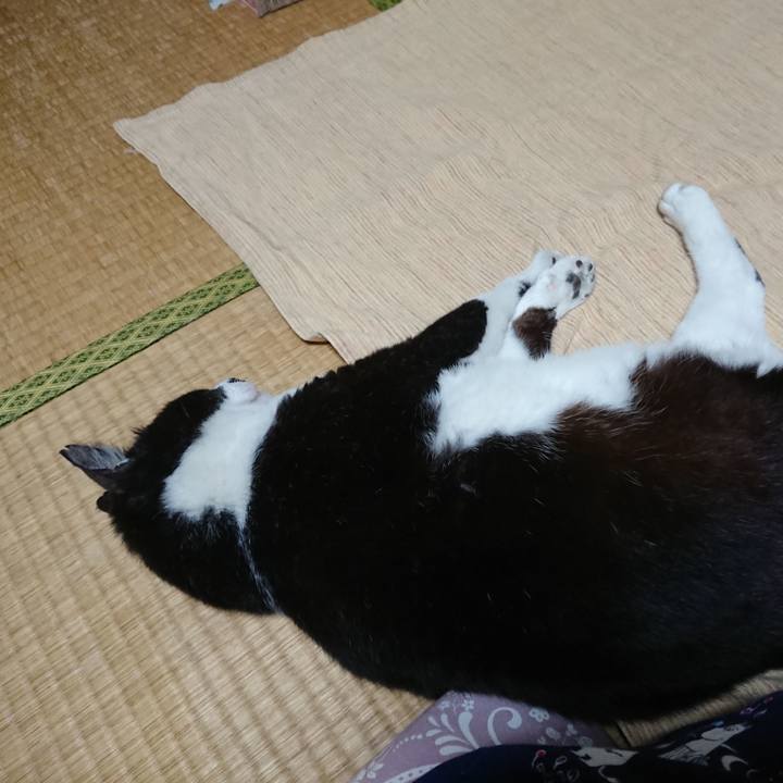 5c18d8f9 5e25 440d 911f 38009378b1a1 1592399251210