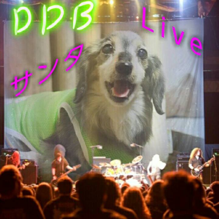 5c18ed46 ceab 41dc 95fc 4e96e1679106 1513386976875