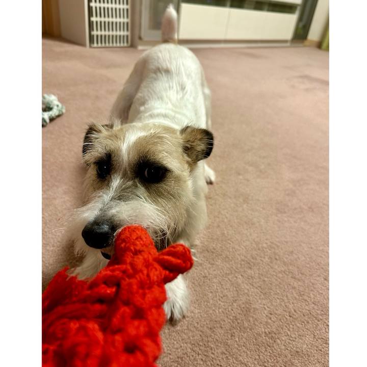 5c18fd8e 9368 4562 98ea 5467ef34c679 1708439807270