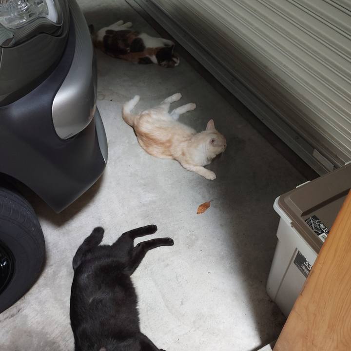 5c190b6a 0303 4389 991e 16e81fea8206 1756639747309