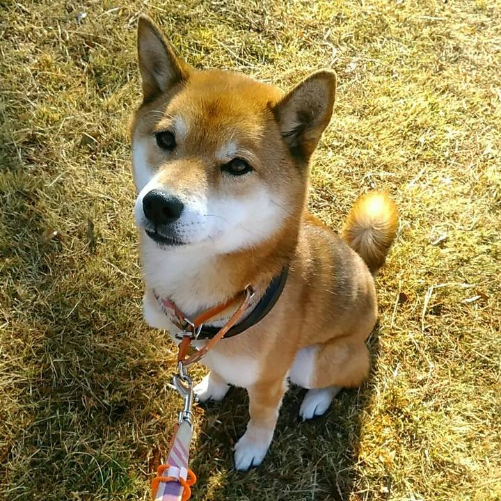 5c191ce9 979c 42d2 95a9 341abd22dc3b 1578272296735