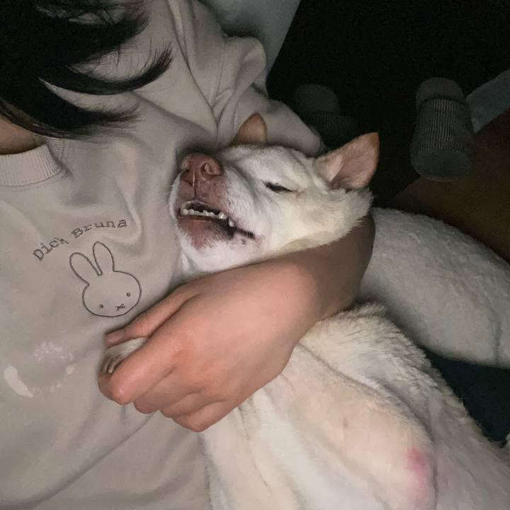 5c1934ef aa39 45ba a12a 8931237319b6 1674418307211